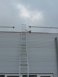 Veilige daktoegang met ladder